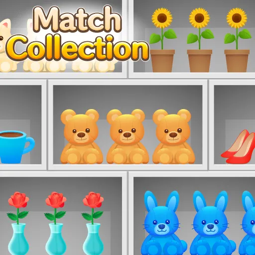 Match Collection Game - Clear Shelves & Match 3 Items